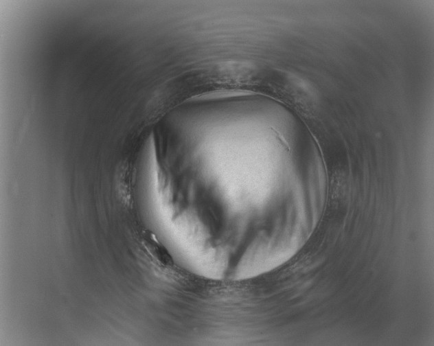 X0000073981202200609181707