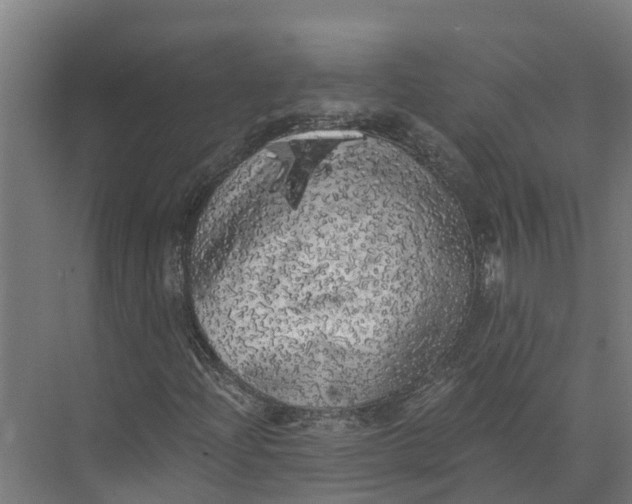 X0000073981204200609181707