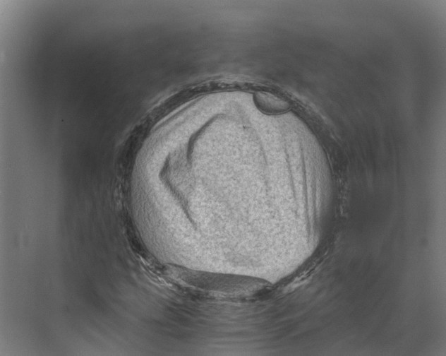 X0000073981207200609181707