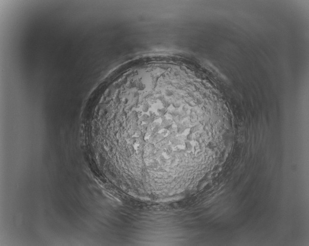 X0000073981208200609181707