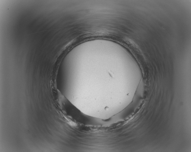 X0000073981210200609181707