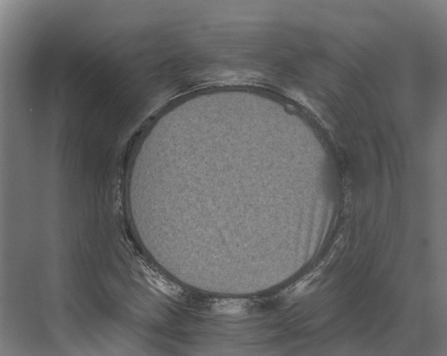 X0000073981211200609181707