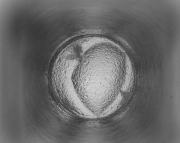 X0000073981212200609181708