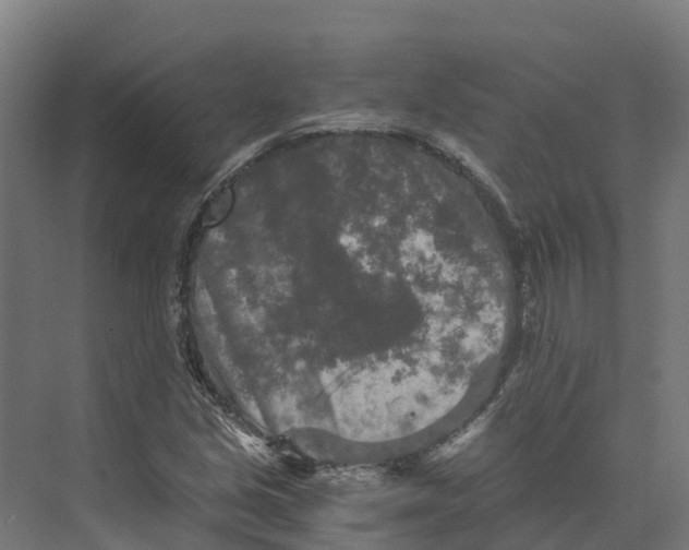 X0000073981213200609181708