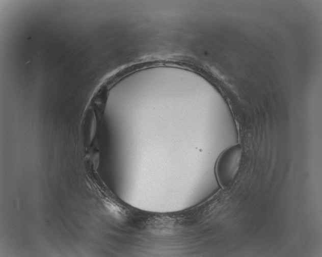 X0000073981214200609181708