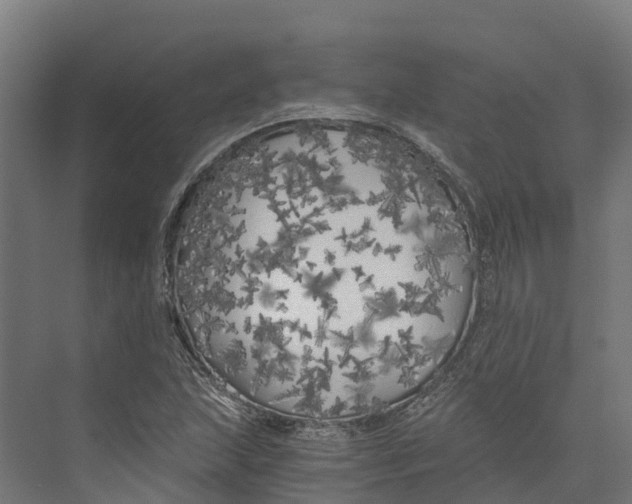 X0000073981215200609181708