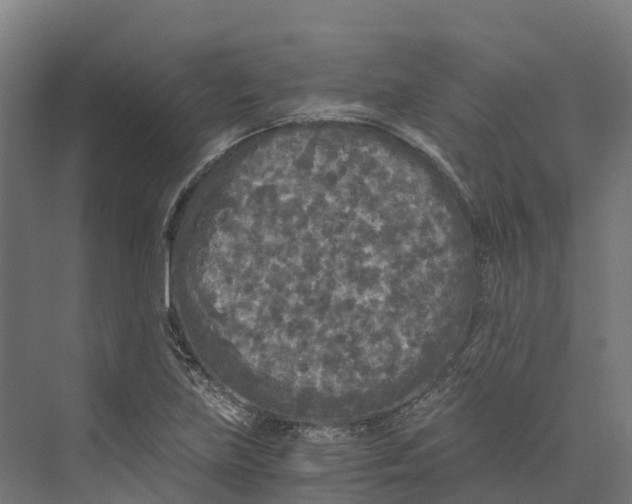 X0000073981219200609181708