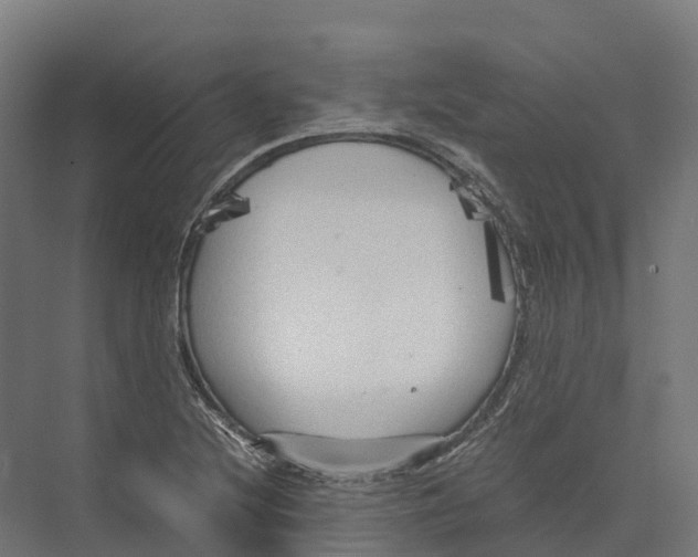 X0000073981220200609181708