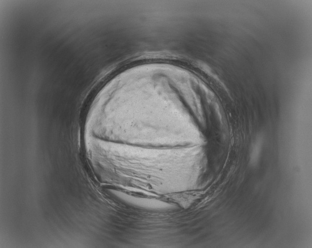 X0000073981221200609181708