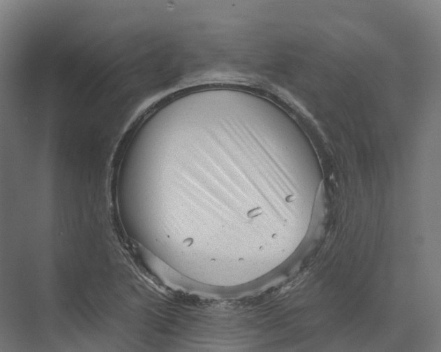 X0000073981222200609181708