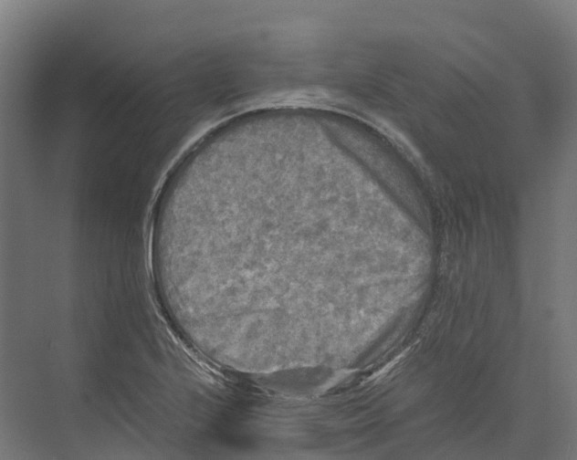 X0000073981224200609181708