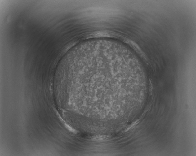 X0000073981225200609181708