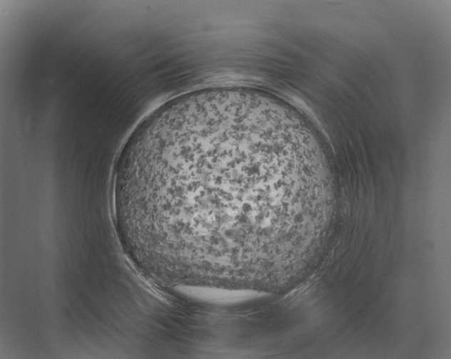 X0000073981227200609181708