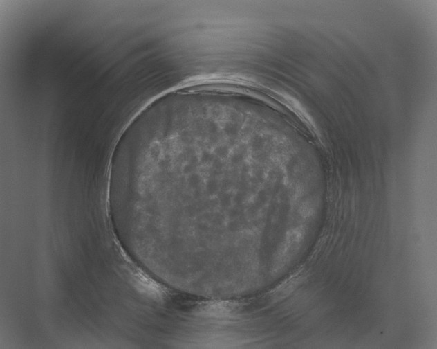 X0000073981228200609181708