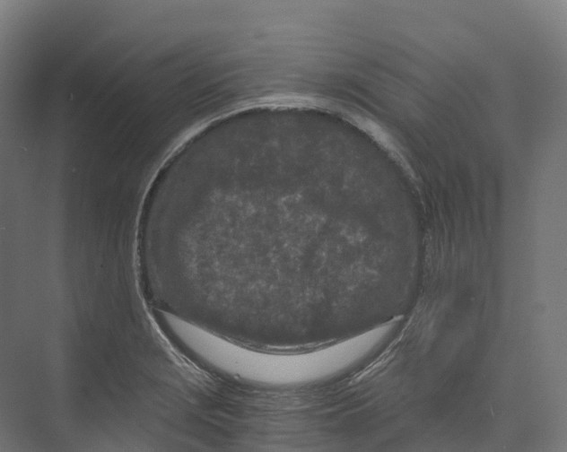 X0000073981229200609181708