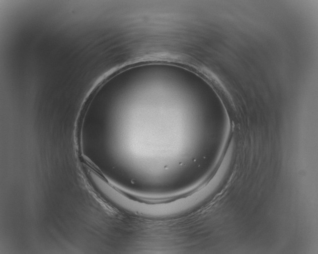 X0000073981230200609181708