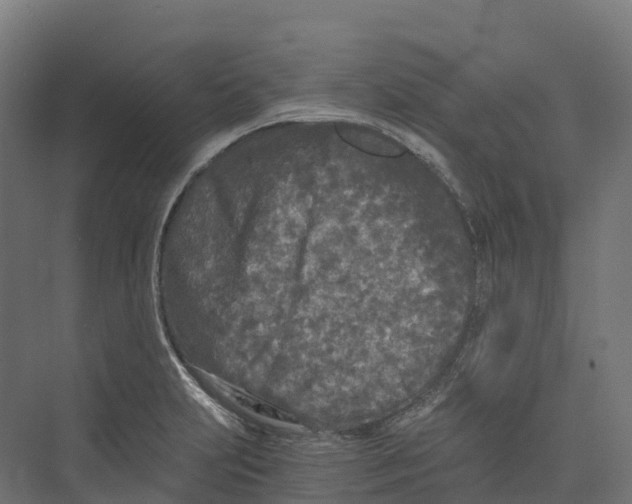 X0000073981231200609181708