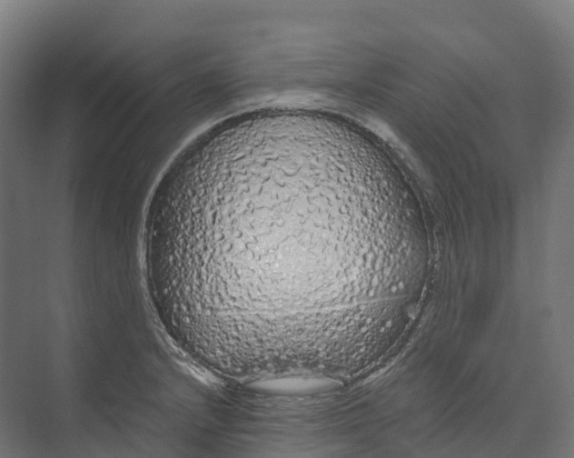 X0000073981232200609181708