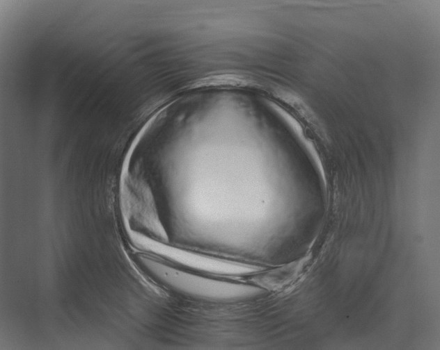 X0000073981233200609181708