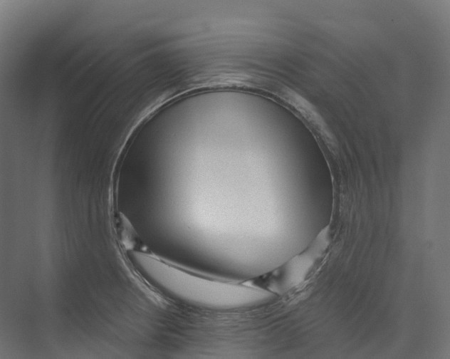 X0000073981234200609181708