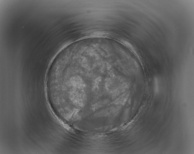 X0000073981235200609181708