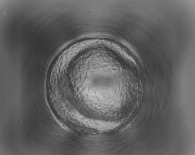 X0000073981237200609181708