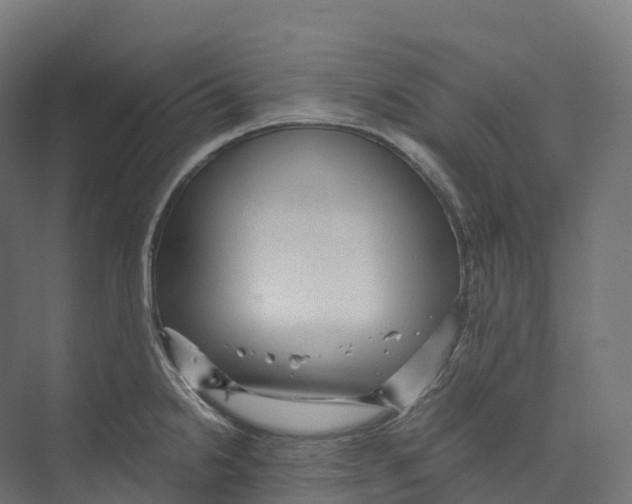 X0000073981238200609181708