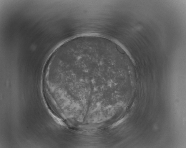 X0000073981245200609181708