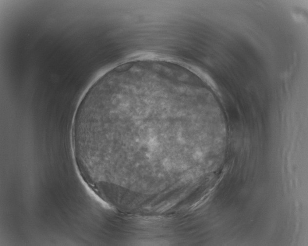 X0000073981247200609181708