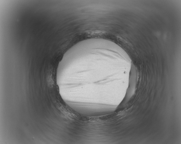 X0000073981250200609181707