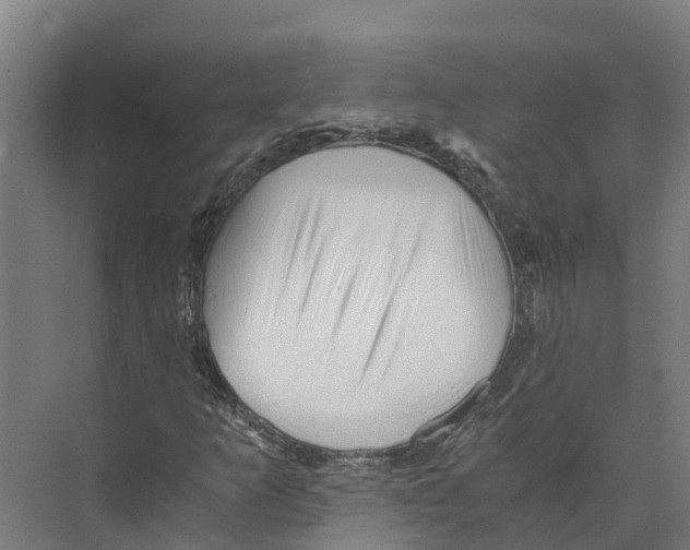 X0000073981253200609181707