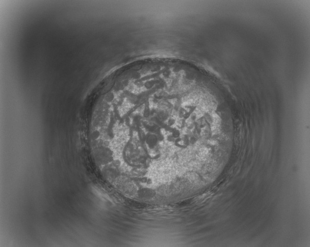 X0000073981255200609181707