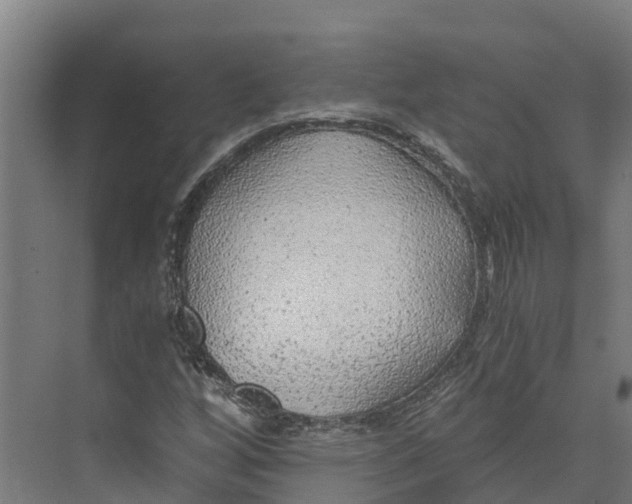 X0000073981256200609181707