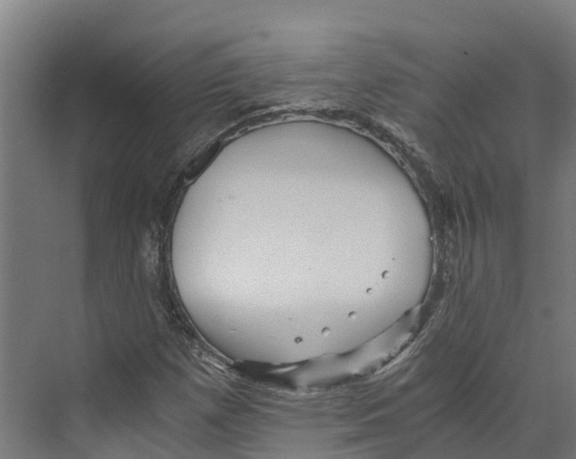 X0000073981257200609181707