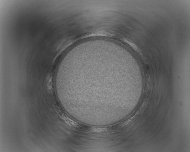 X0000073981258200609181707