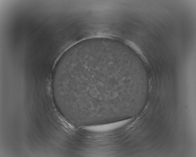 X0000073981260200609181707