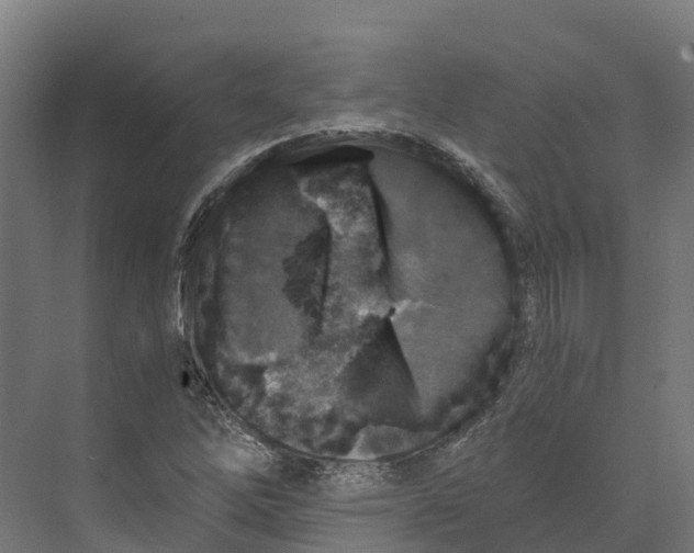 X0000073981262200609181707