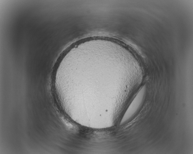 X0000073981264200609181707