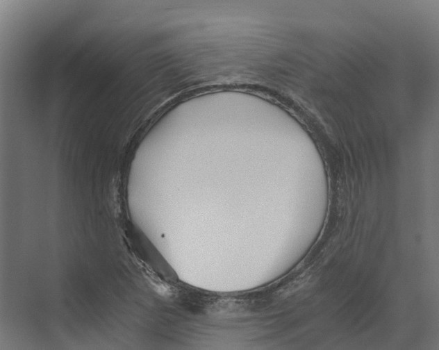 X0000073981265200609181707