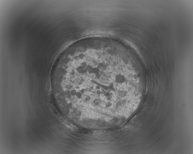 X0000073981267200609181707