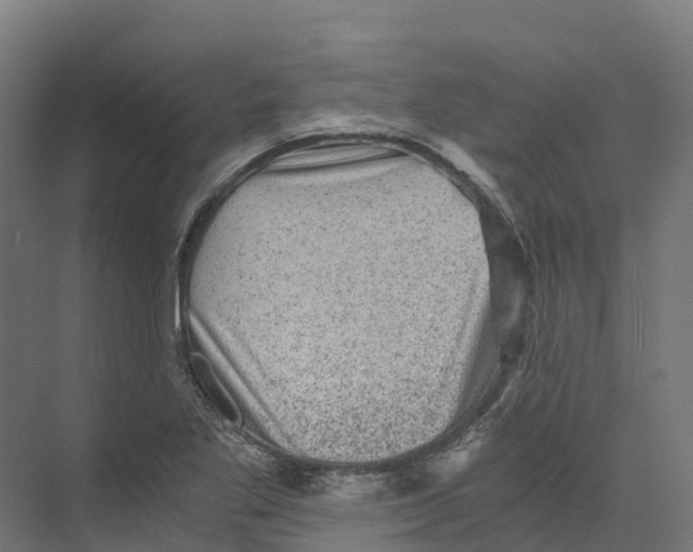 X0000073981269200609181707