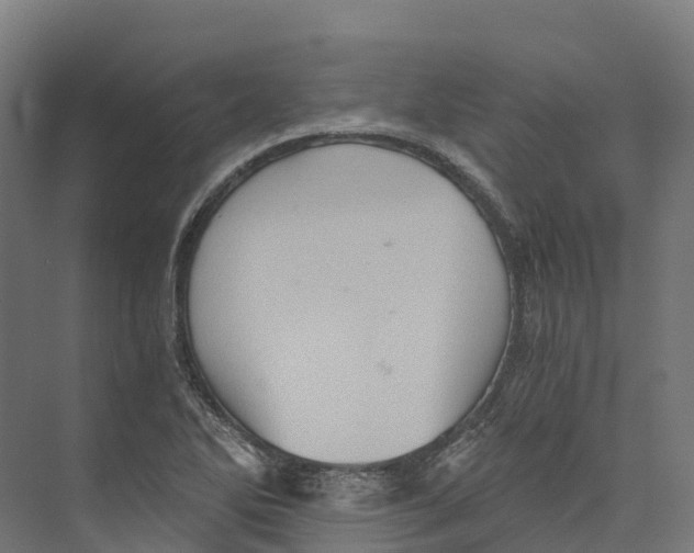 X0000073981270200609181707