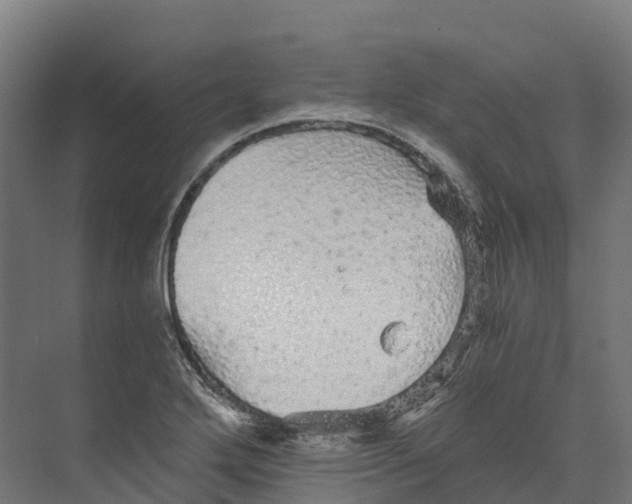 X0000073981272200609181707