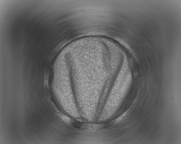 X0000073981273200609181707