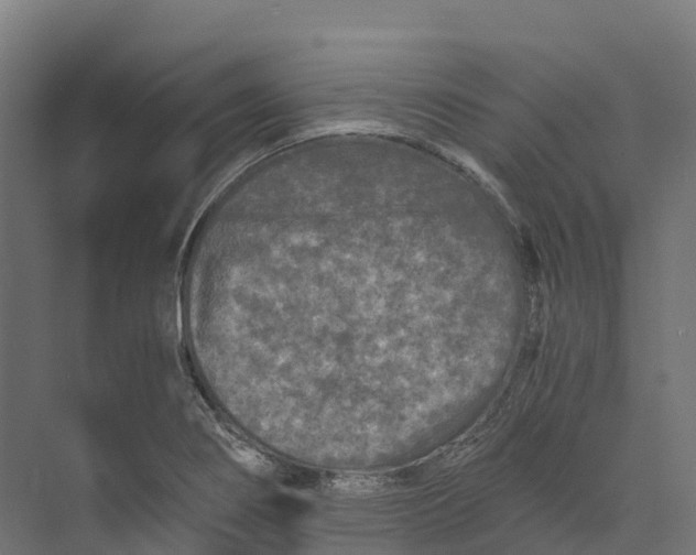 X0000073981274200609181707