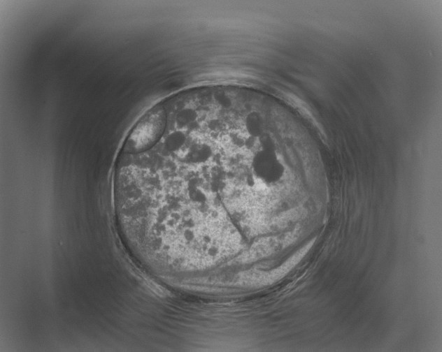 X0000073981275200609181707