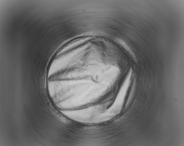 X0000073981276200609181707