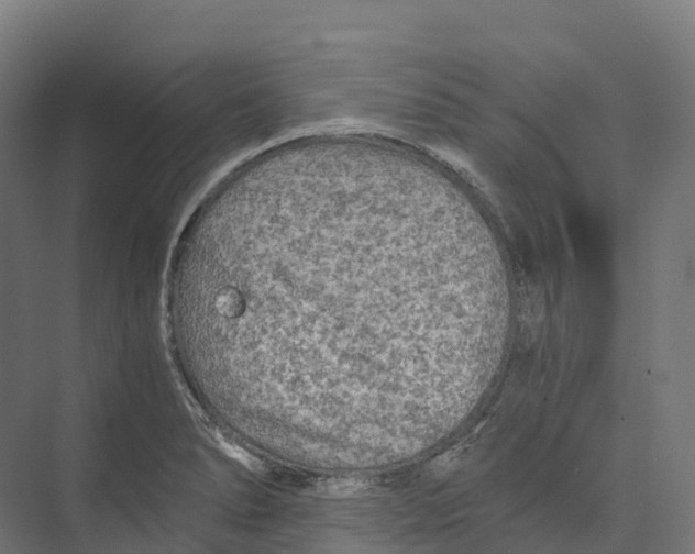 X0000073981278200609181707