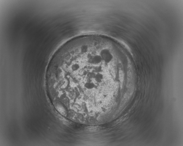 X0000073981279200609181707