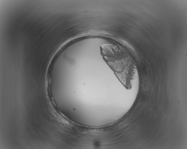 X0000073981280200609181707